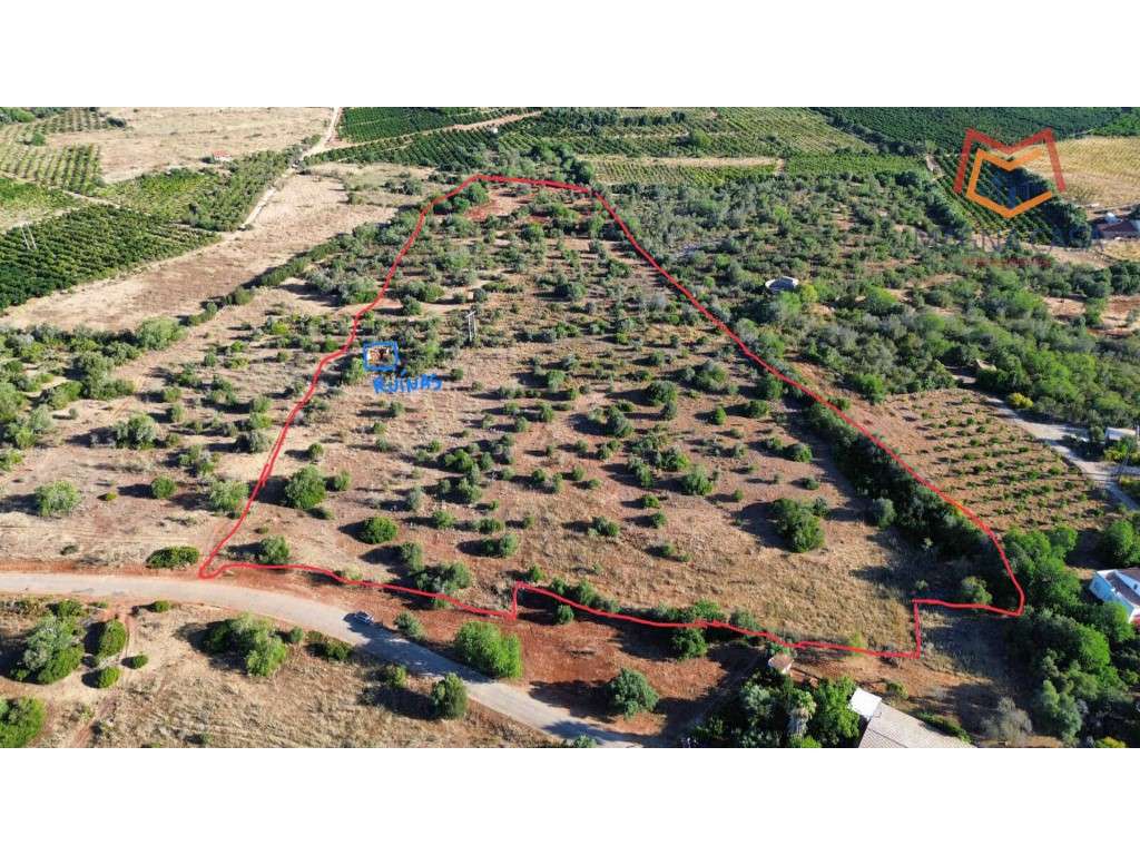 Terreno Misto , Silves, Algarve - Grande imagem: 3/6