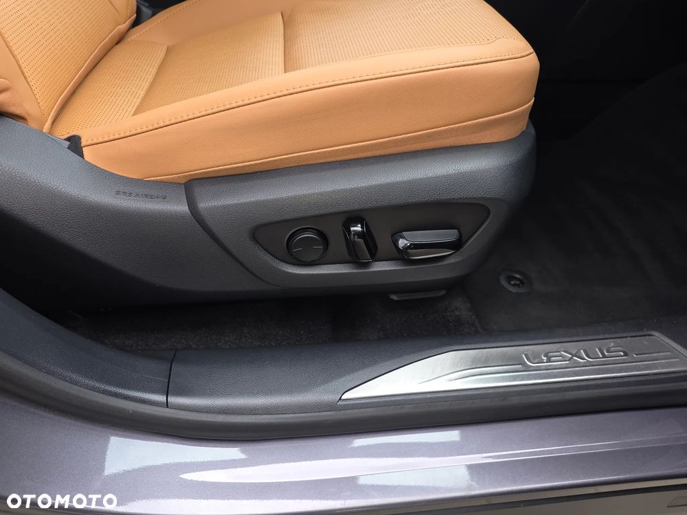 Lexus RX 300 F Sport Edition - 6