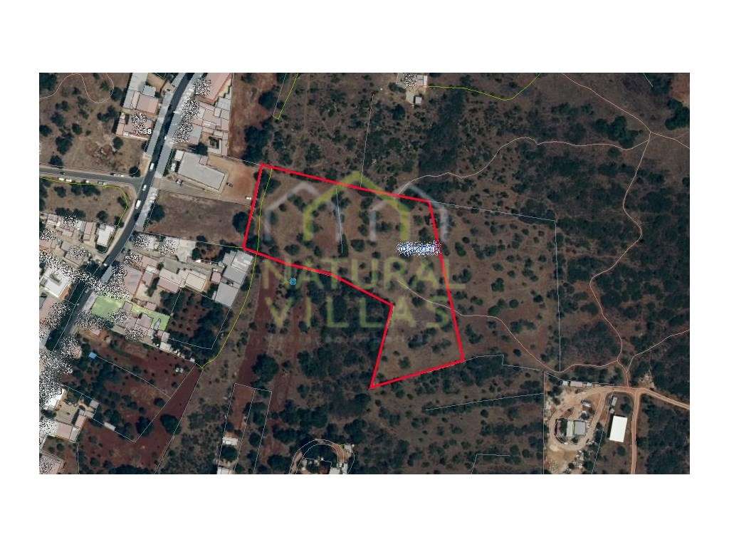 Terreno Rústico de 13.400 m² Próximo do Centro de Almancil - Grande imagem: 2/2