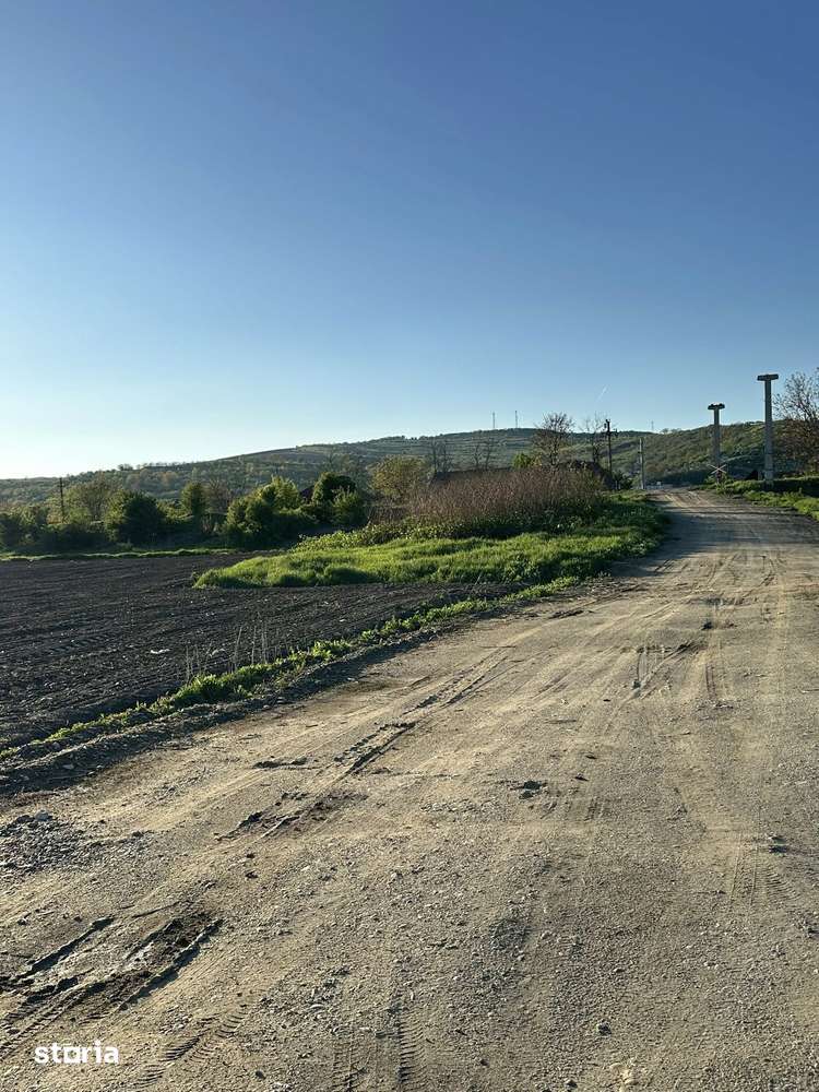 Teren, 10 000 m²,  - Imagine principală: 5/12