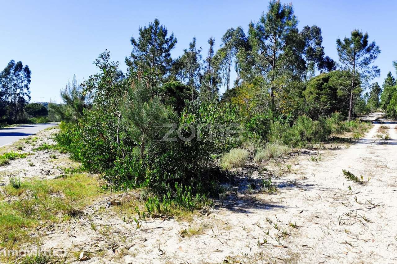 Terreno urbano em Melides - Grande imagem: 3/15