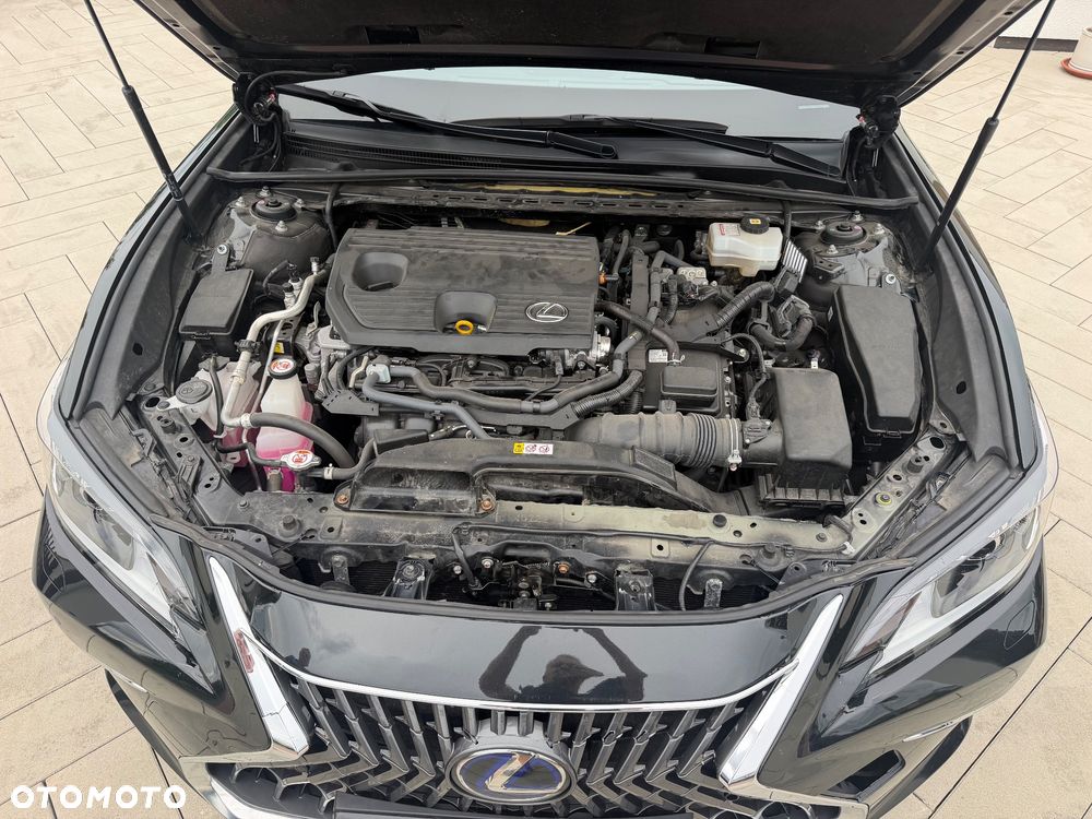 Lexus ES 300h Business Edition + - 19