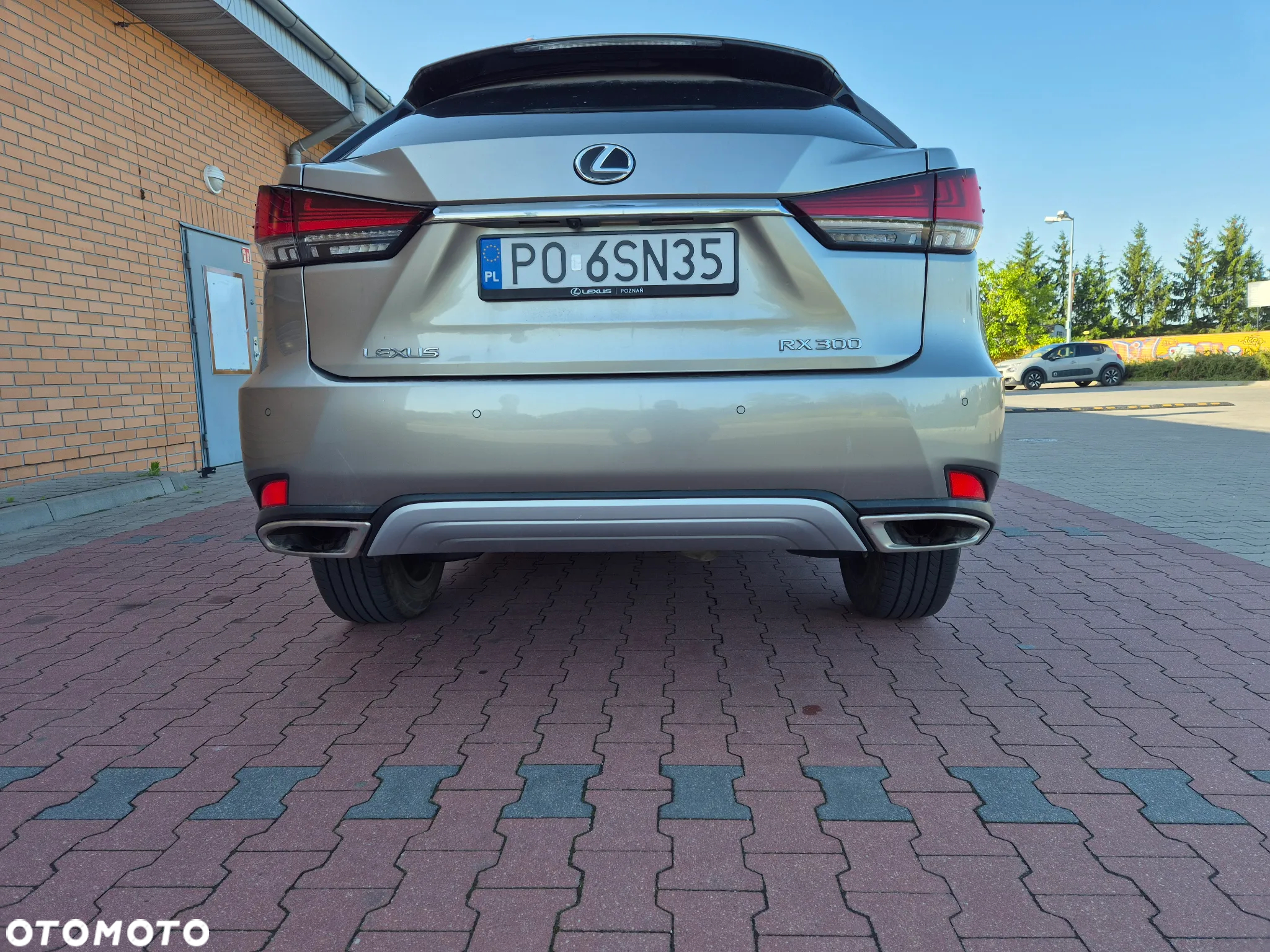 Lexus RX 300 Business Edition + - 11