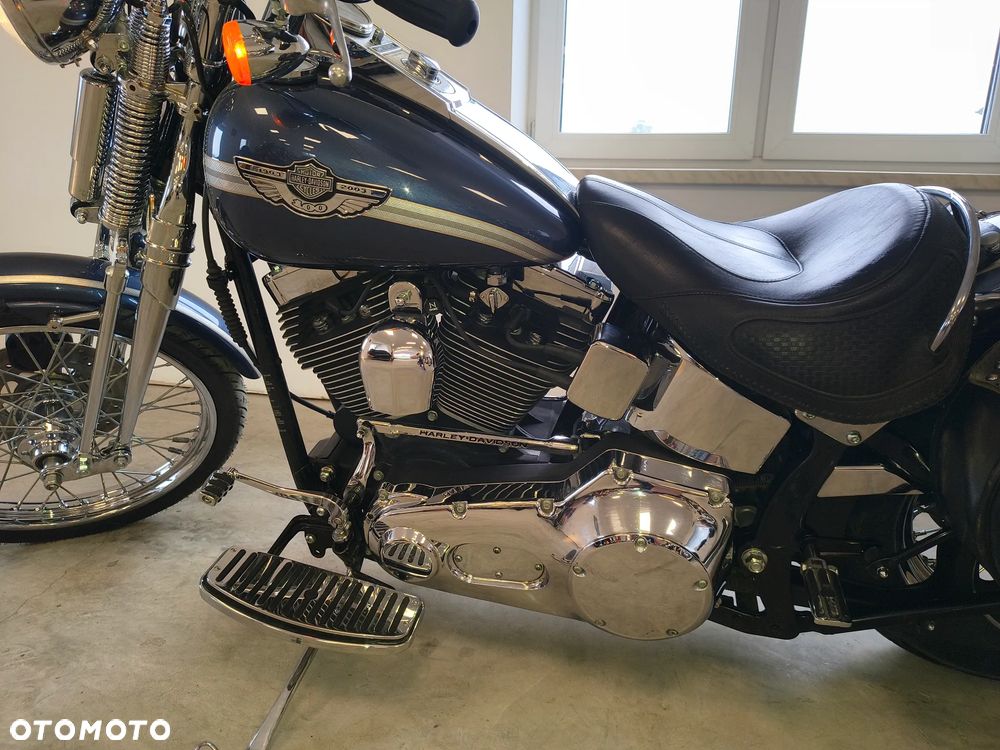 Harley-Davidson Softail Springer Classic - 6