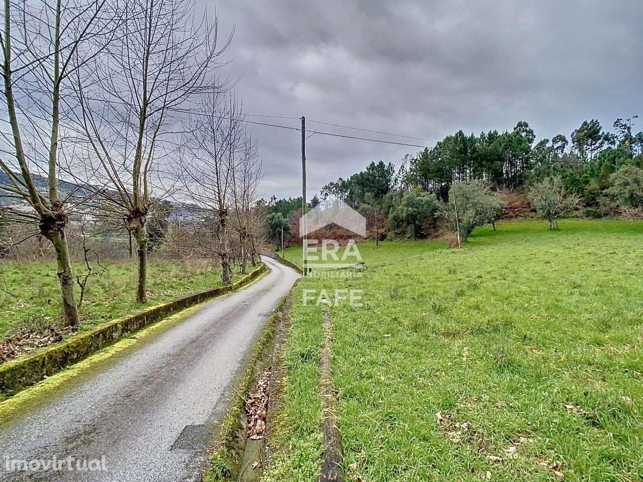 Quinta em Ribeira de Pena - Grande imagem: 4/40