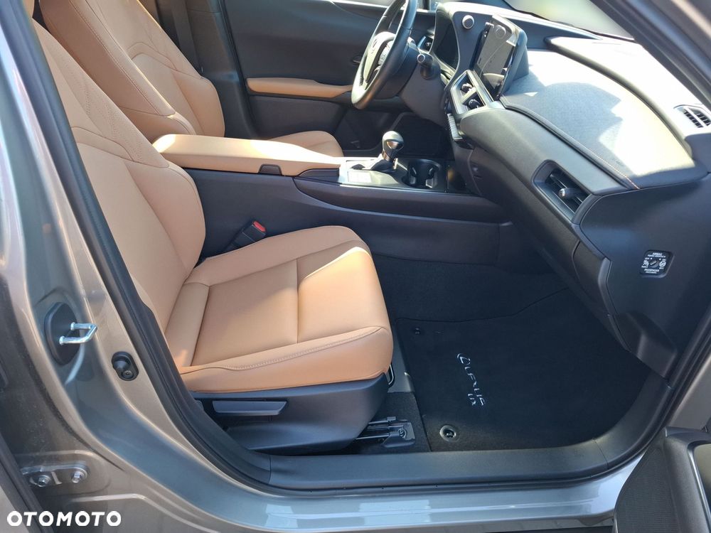 Lexus UX 200 GPF F Sport Design+ 2WD - 17