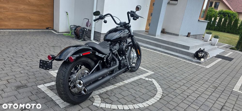 Harley-Davidson Softail Street Bob - 12