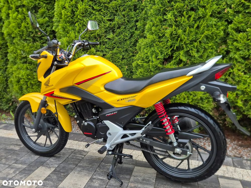 Honda CBF - 6