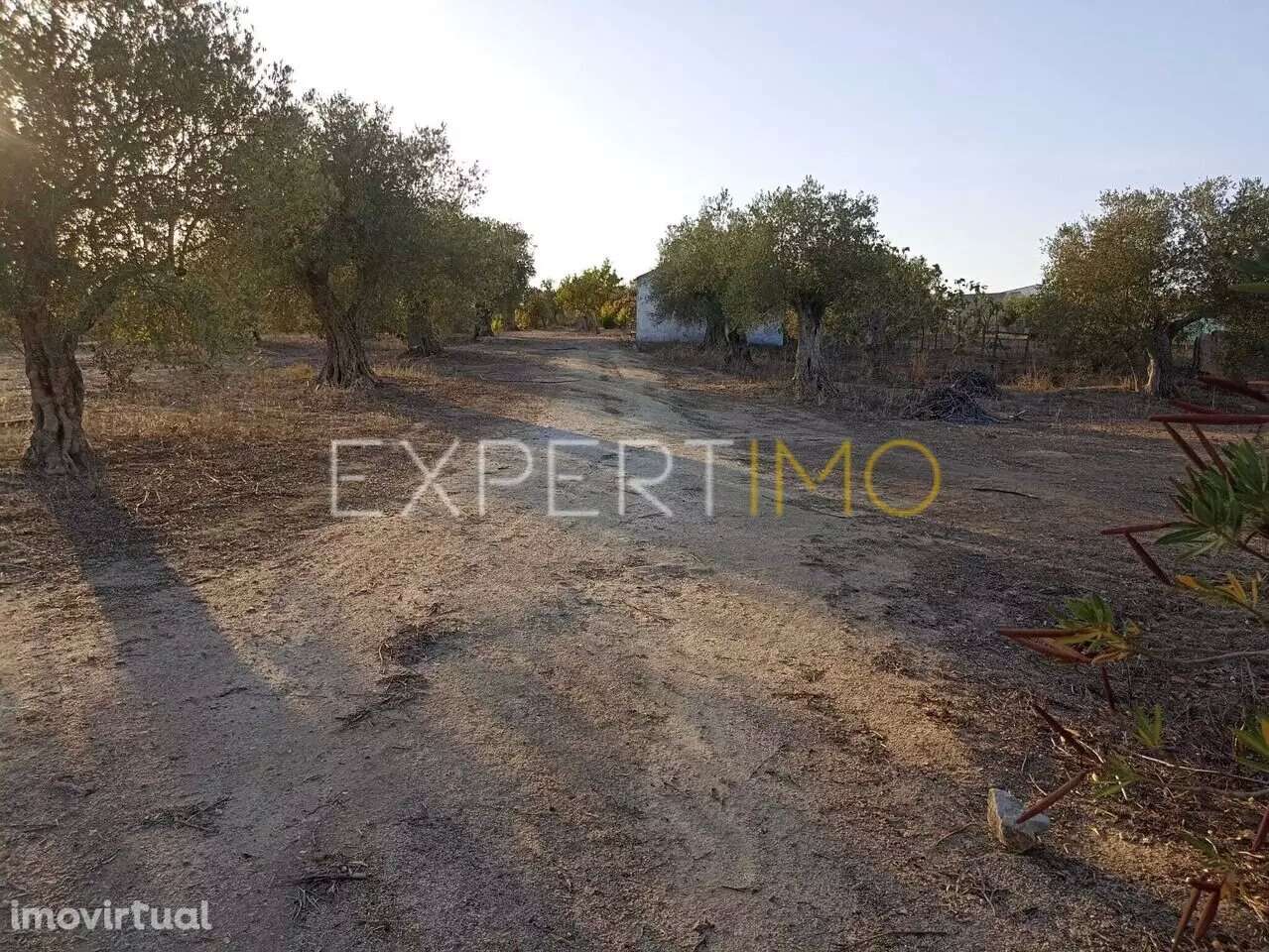 Terreno aberto na região de Serpa para venda - Grande imagem: 4/25
