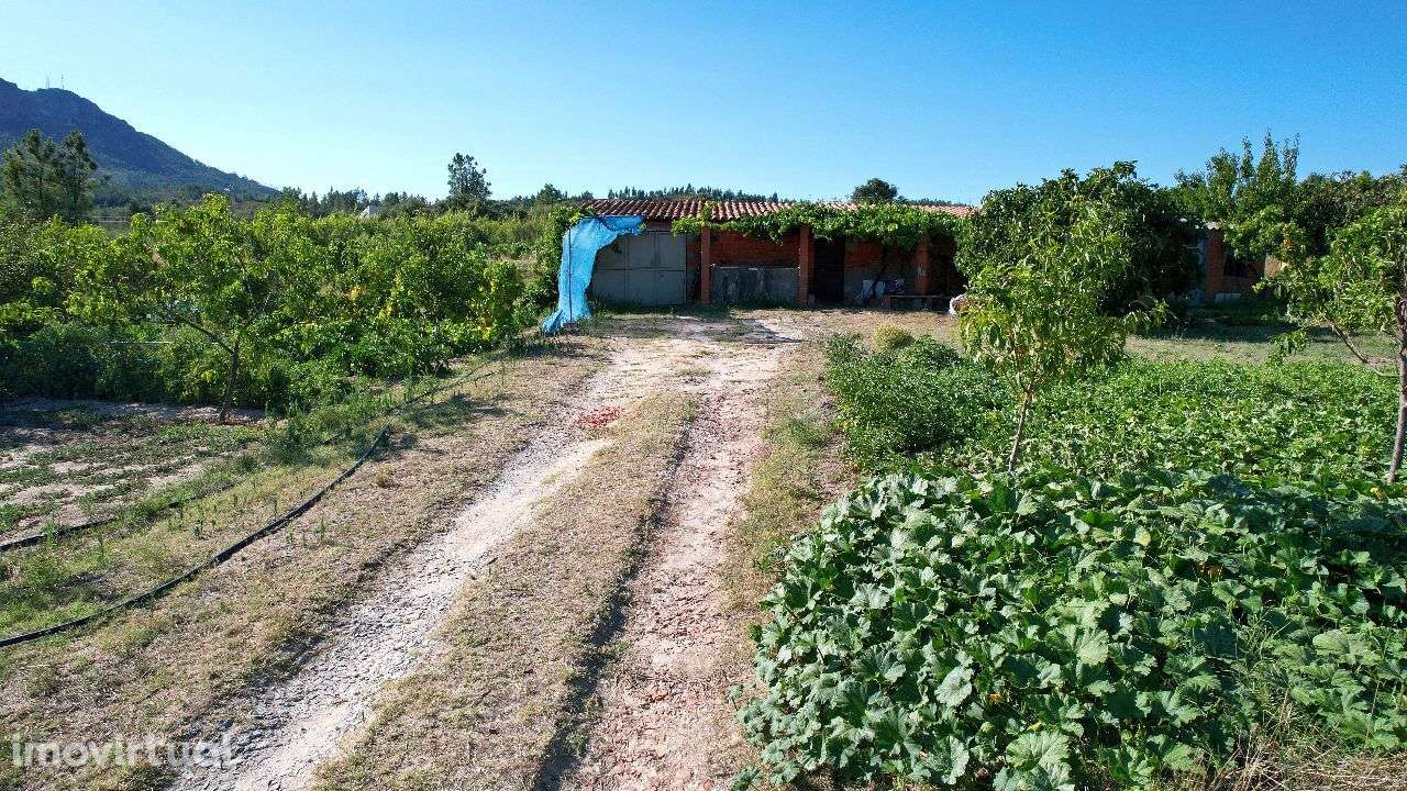 Quinta - Grande imagem: 3/12