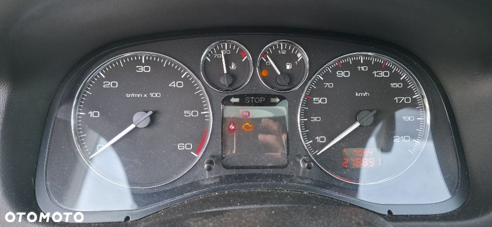 Peugeot 307 - 8