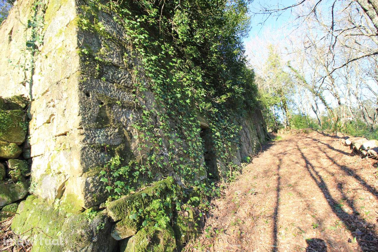 Quinta para restauro com vistas Rio Tâmega - Grande imagem: 2/28