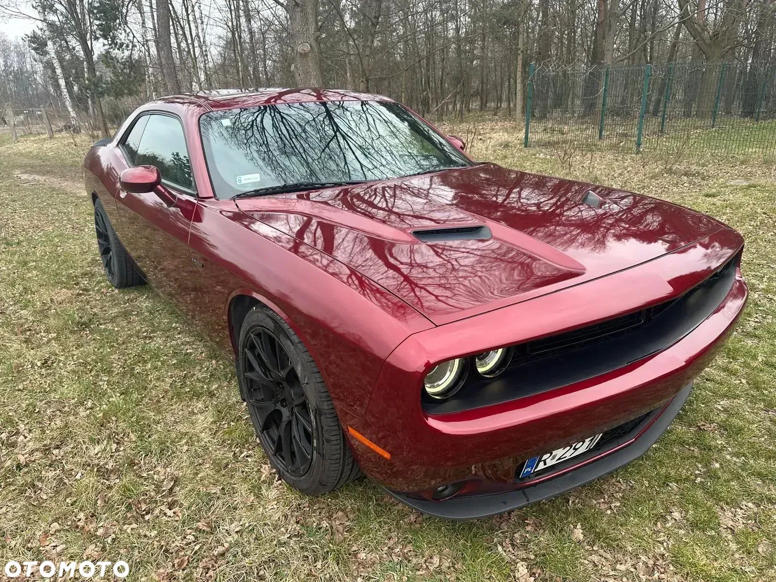 Dodge Challenger Automatik R/T Plus - 1