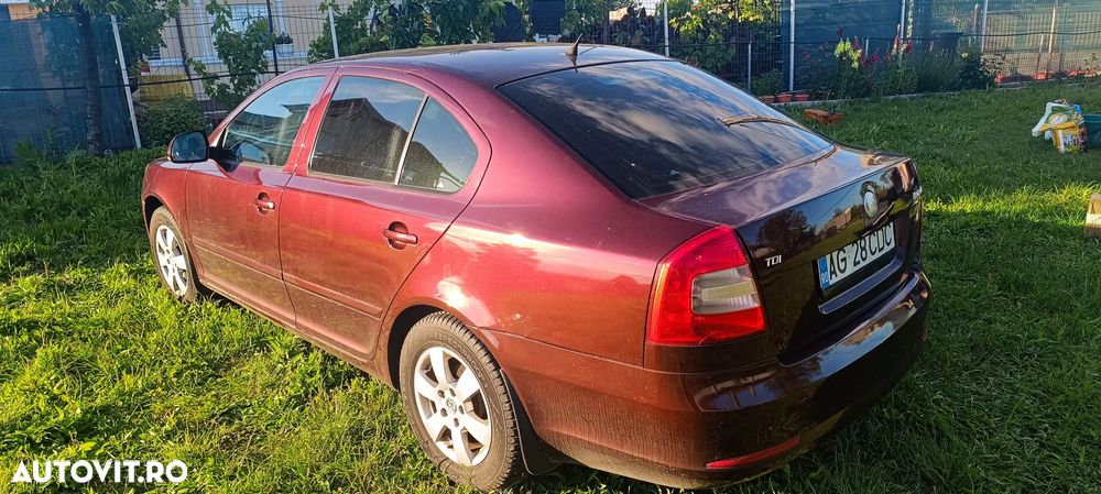 Skoda Octavia 1.6 TDI Business - 5