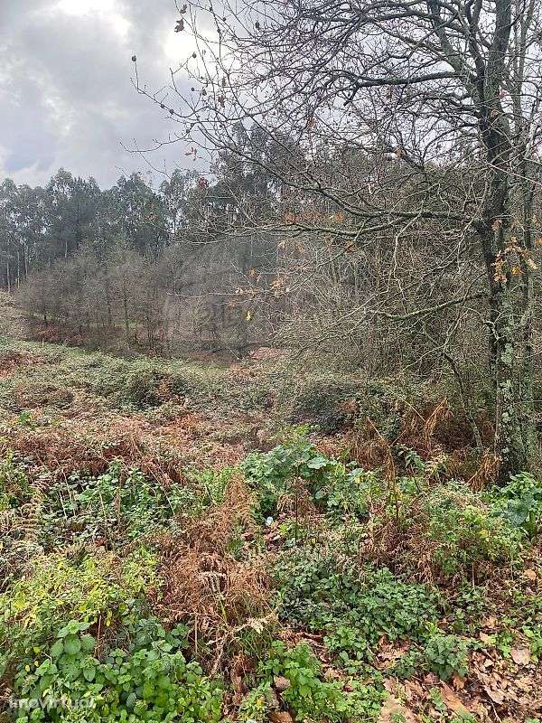 Terreno  para venda - Grande imagem: 4/6