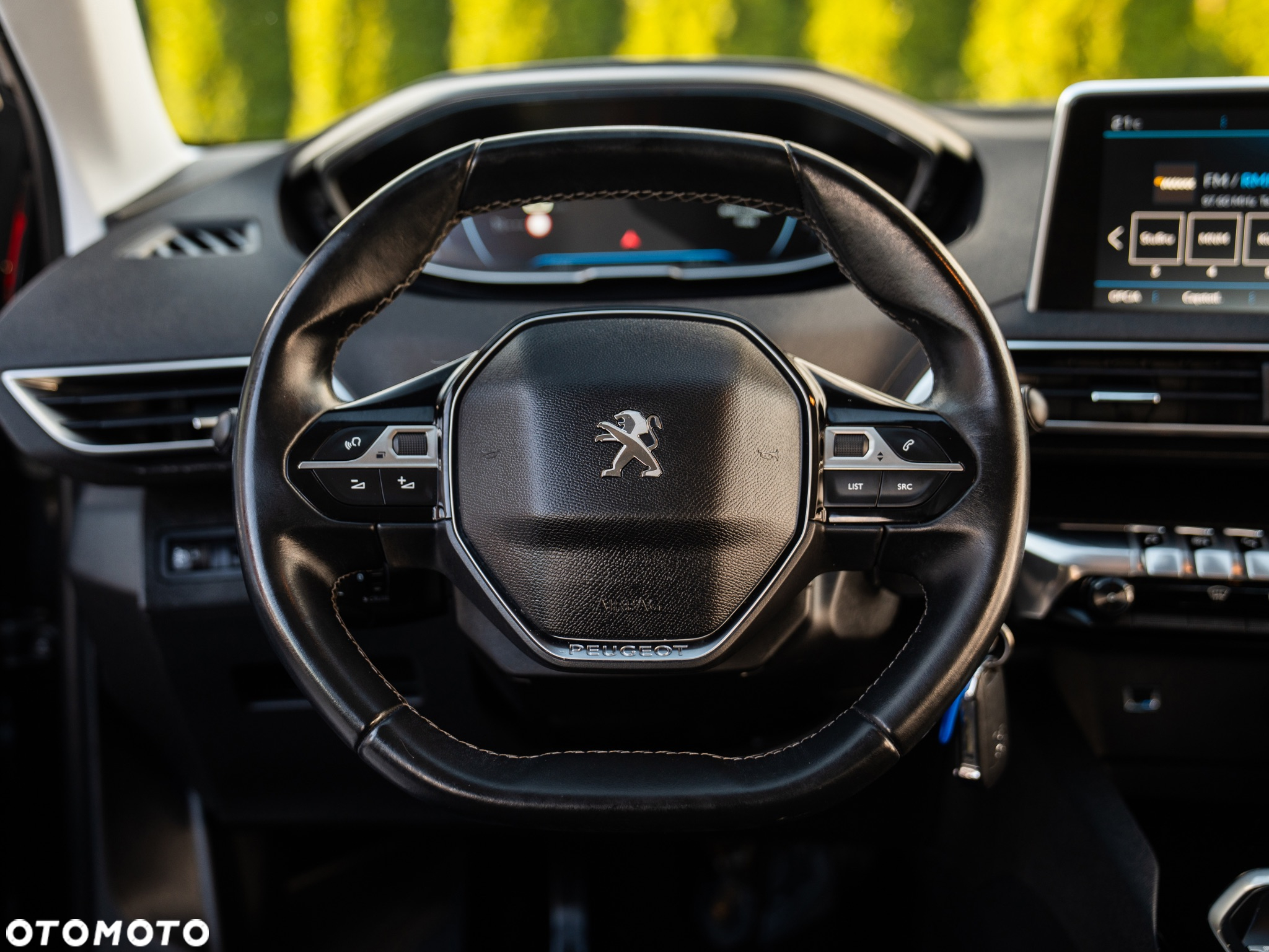 Peugeot 3008 1.6 BlueHDi Active S&S - 26