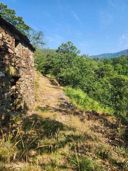 Terreno Rústico em Louredo e Fornelos – 1.728 m² - Grande imagem: 4/9