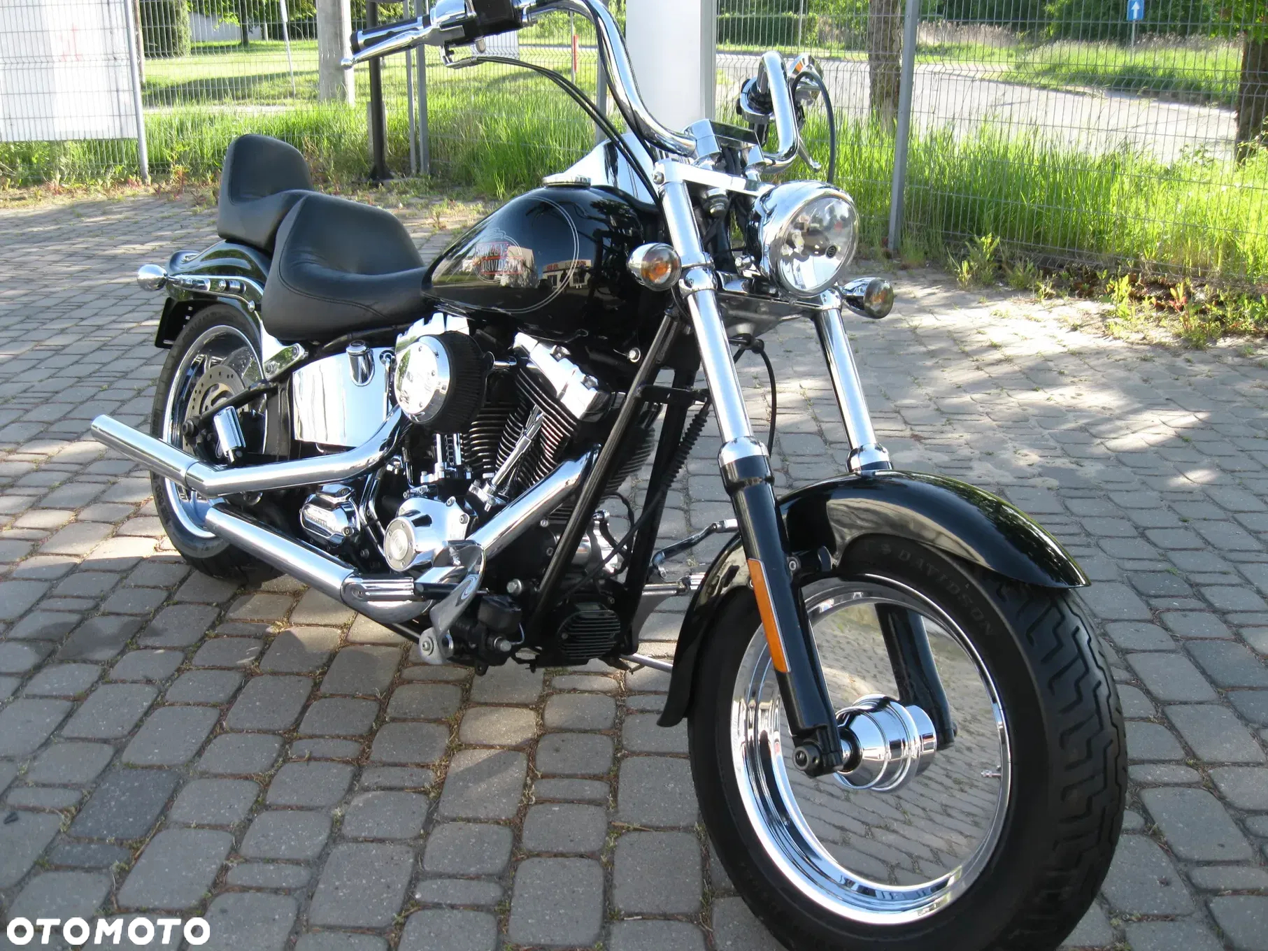 Harley-Davidson Softail Custom - 2