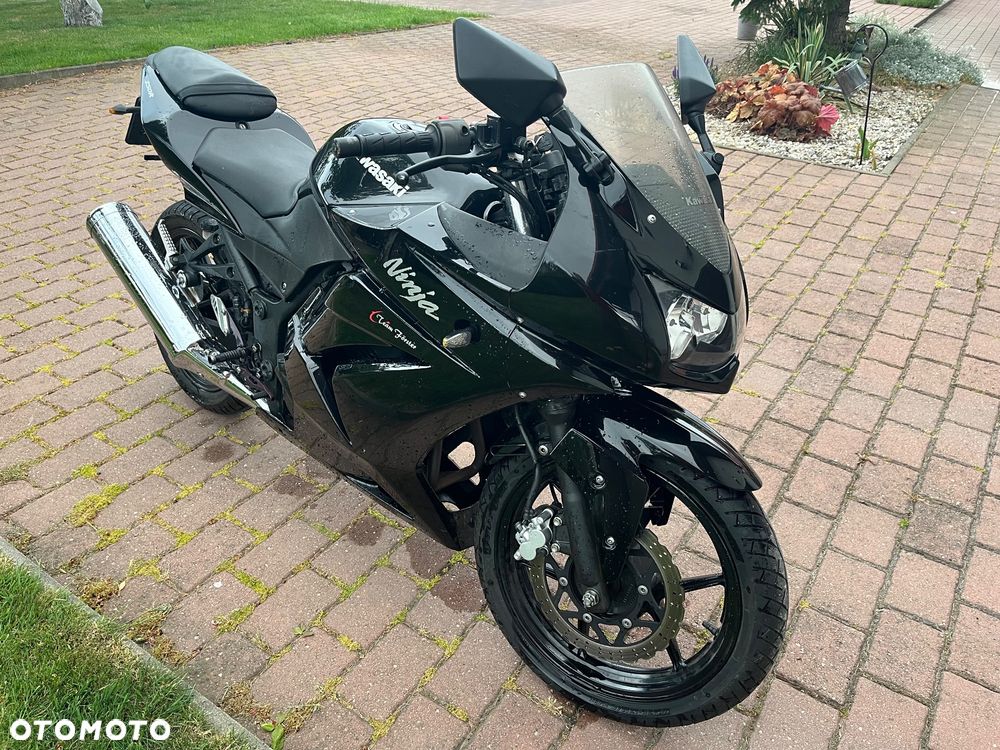 Kawasaki Ninja 250R - 1