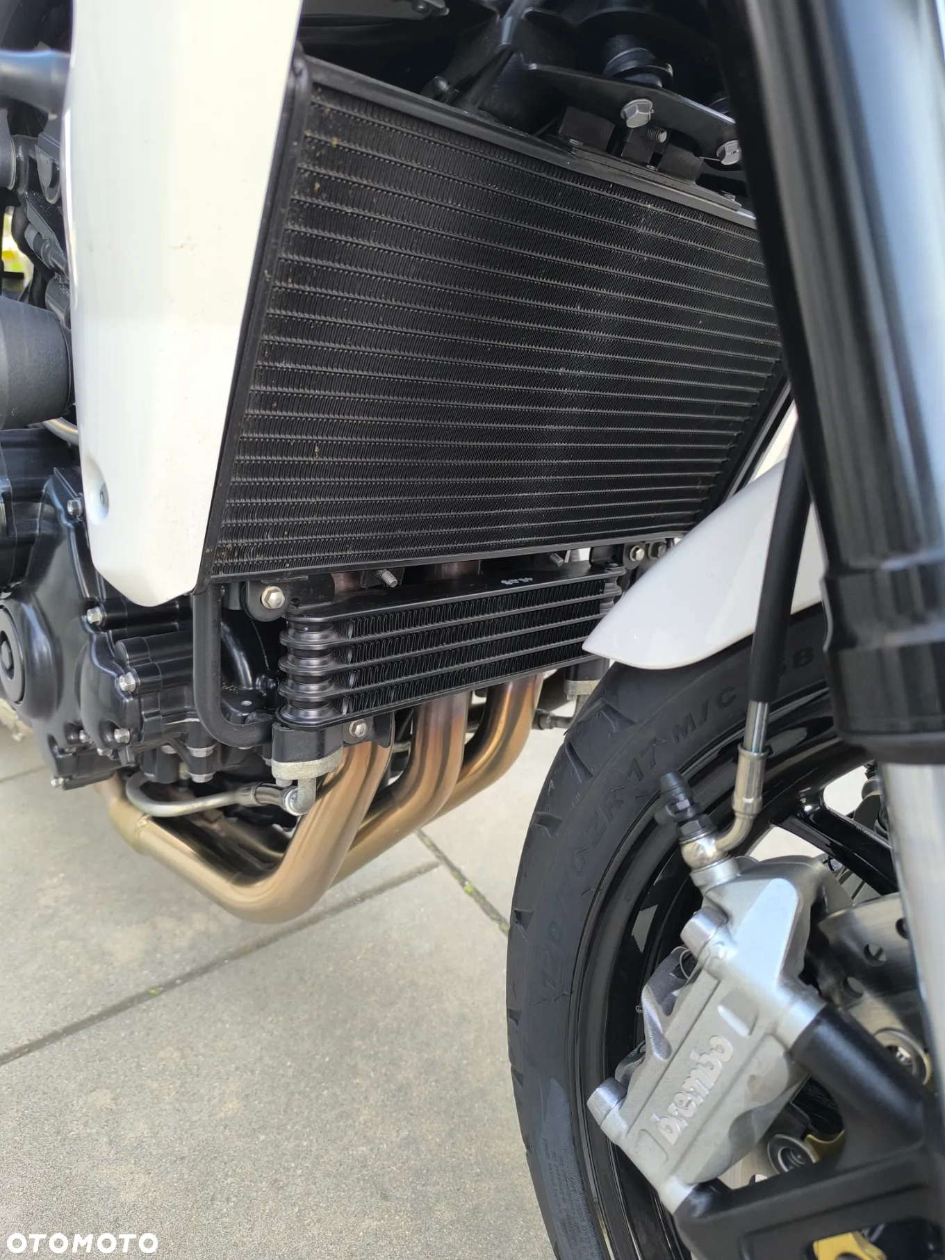 Triumph Speed Triple - 13