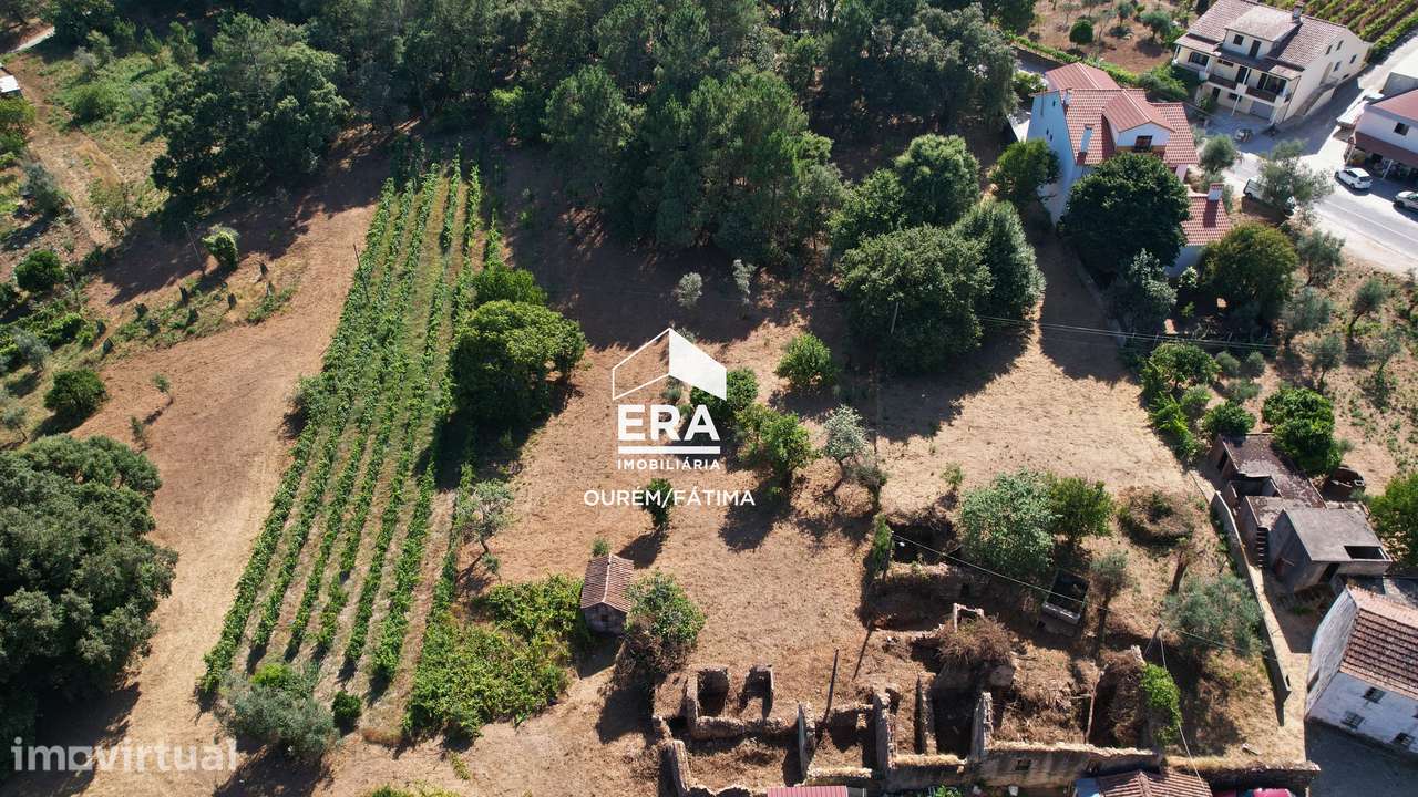 Terreno de 19990 m2 em Arega Figueiró dos Vinhos - Grande imagem: 5/16