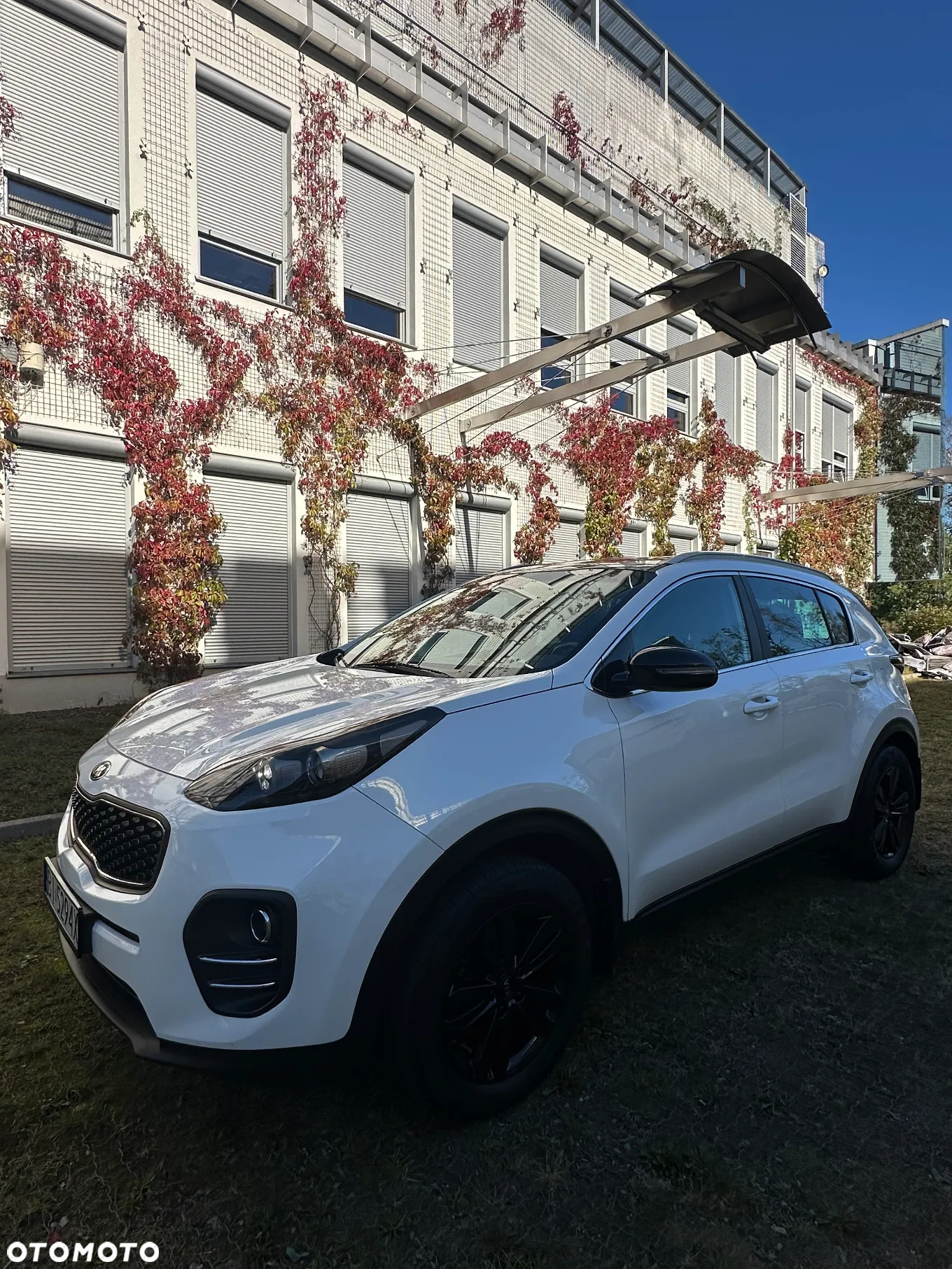 Kia Sportage 1.6 GDI Business Line 2WD - 37