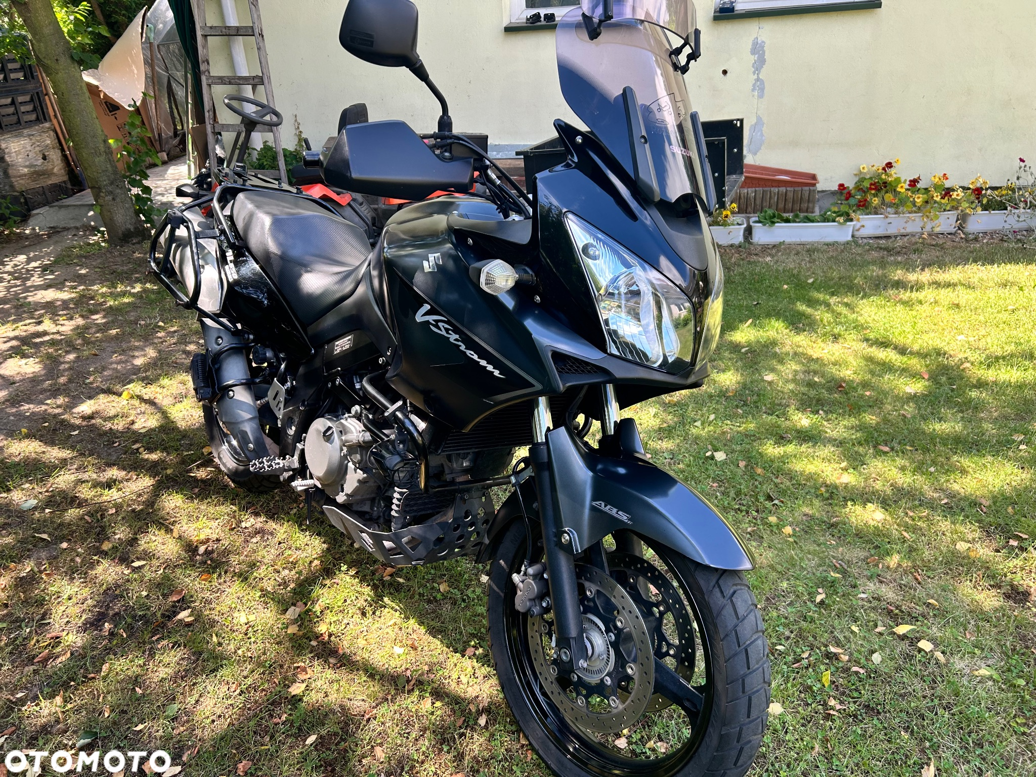 Suzuki DL - 5