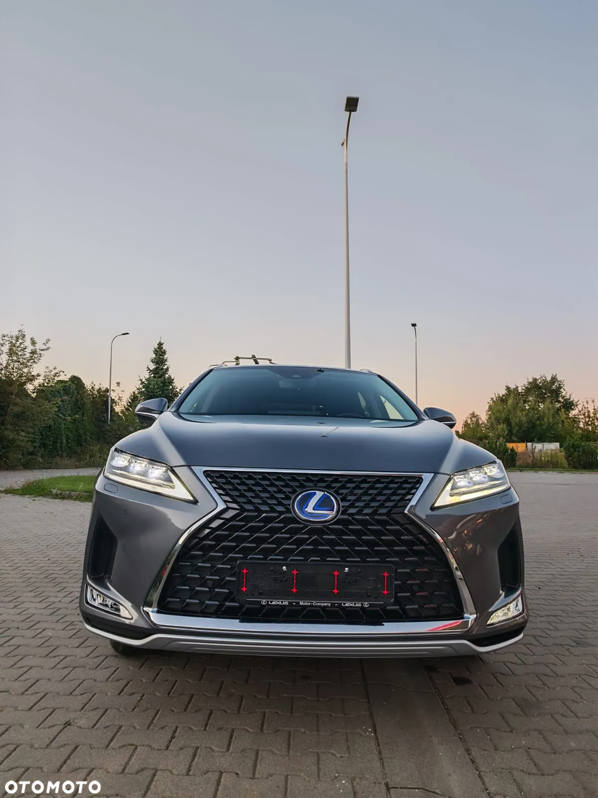 Lexus RX 450h (hybrid) Executive Line - 5