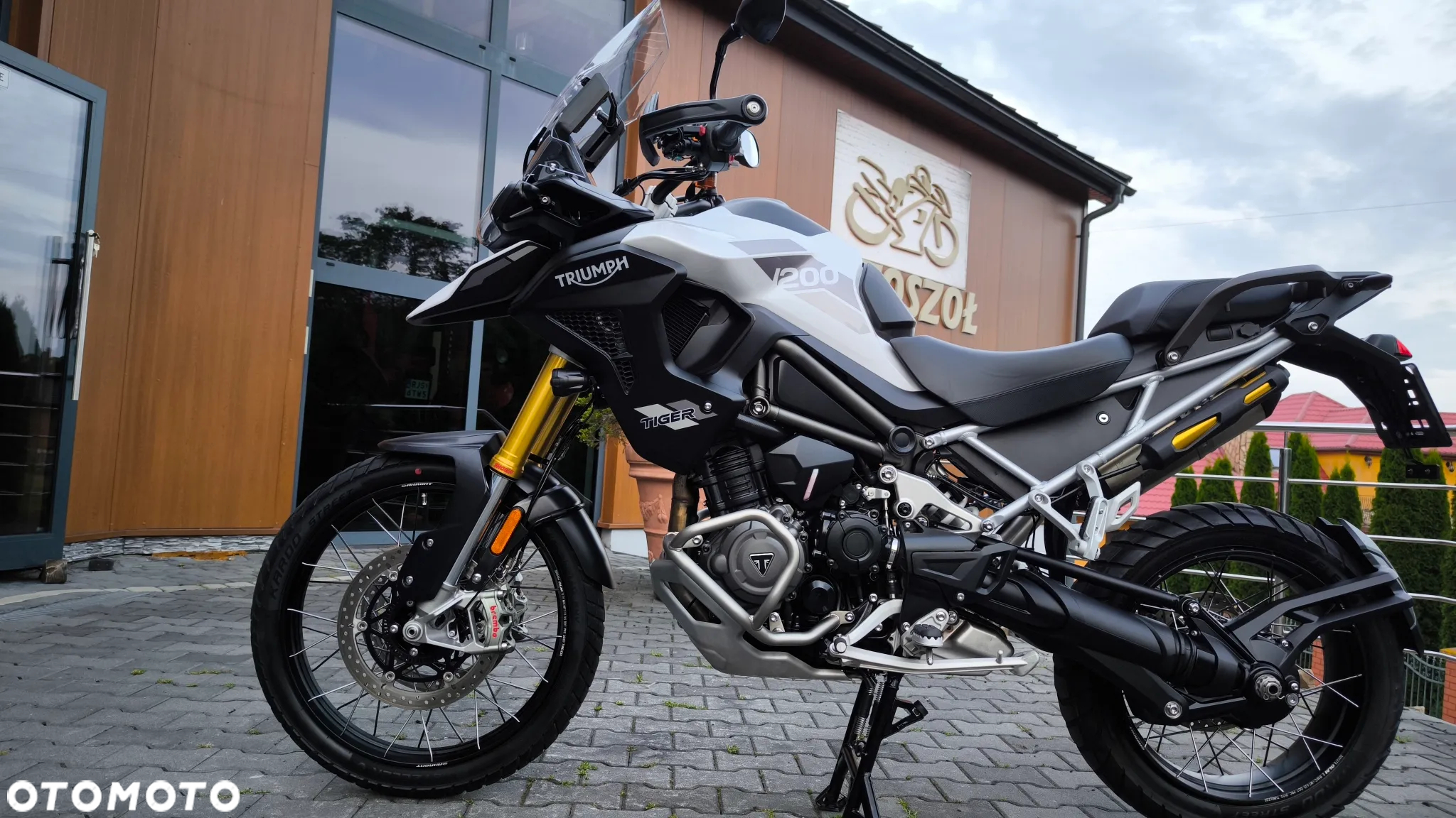 Triumph Tiger - 4