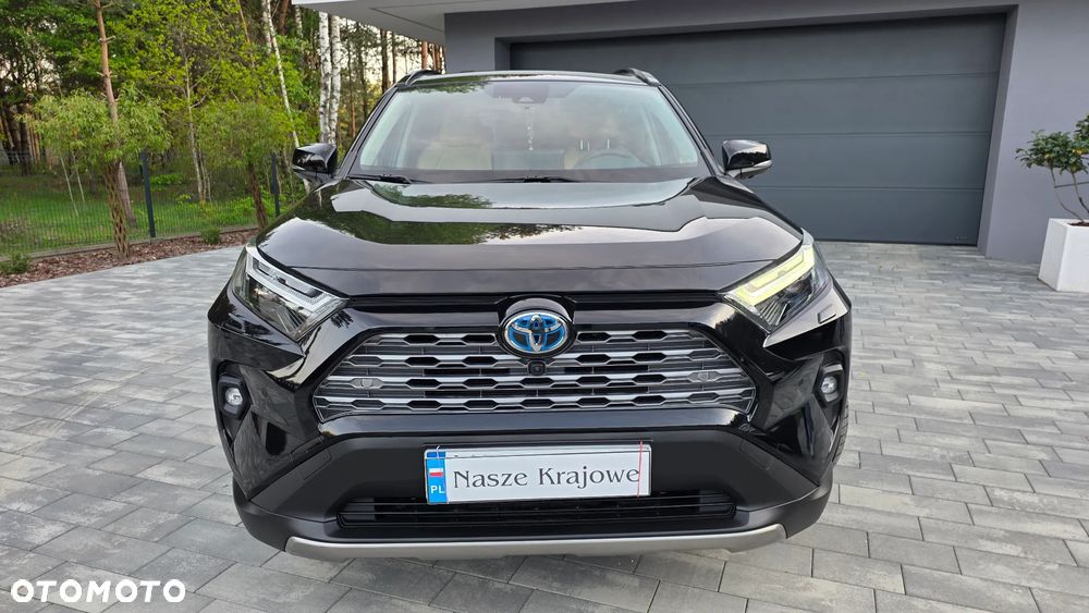 Toyota RAV4 2.5 Hybrid Executive 4x2 - 17
