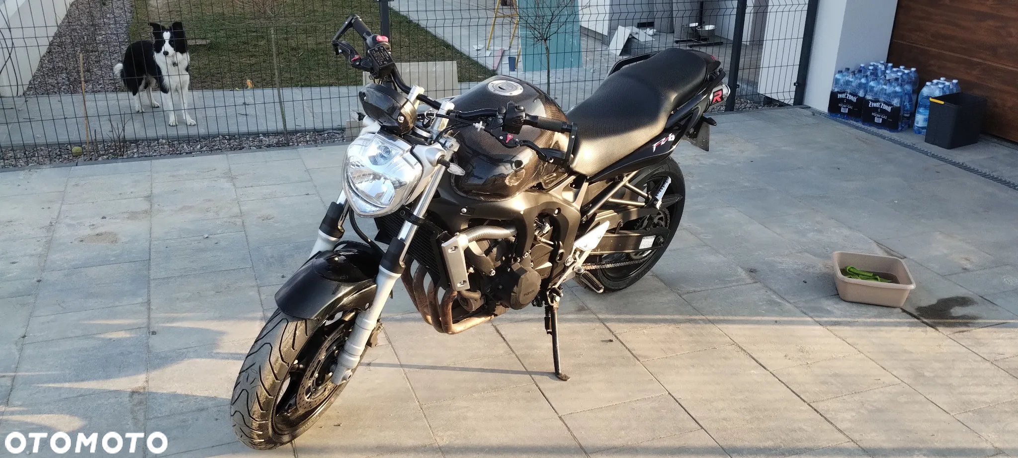 Yamaha FZ6 - 3