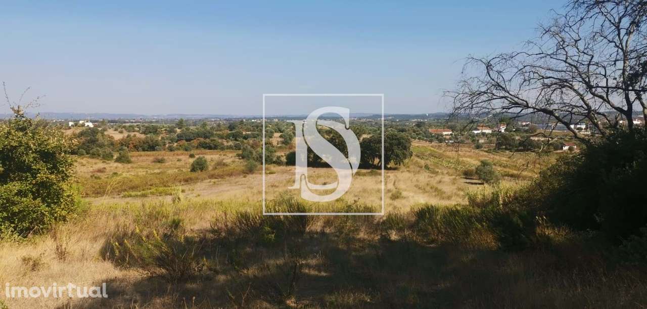 Terreno Rústico com 17.480m2 em Lamarosa - Grande imagem: 3/8