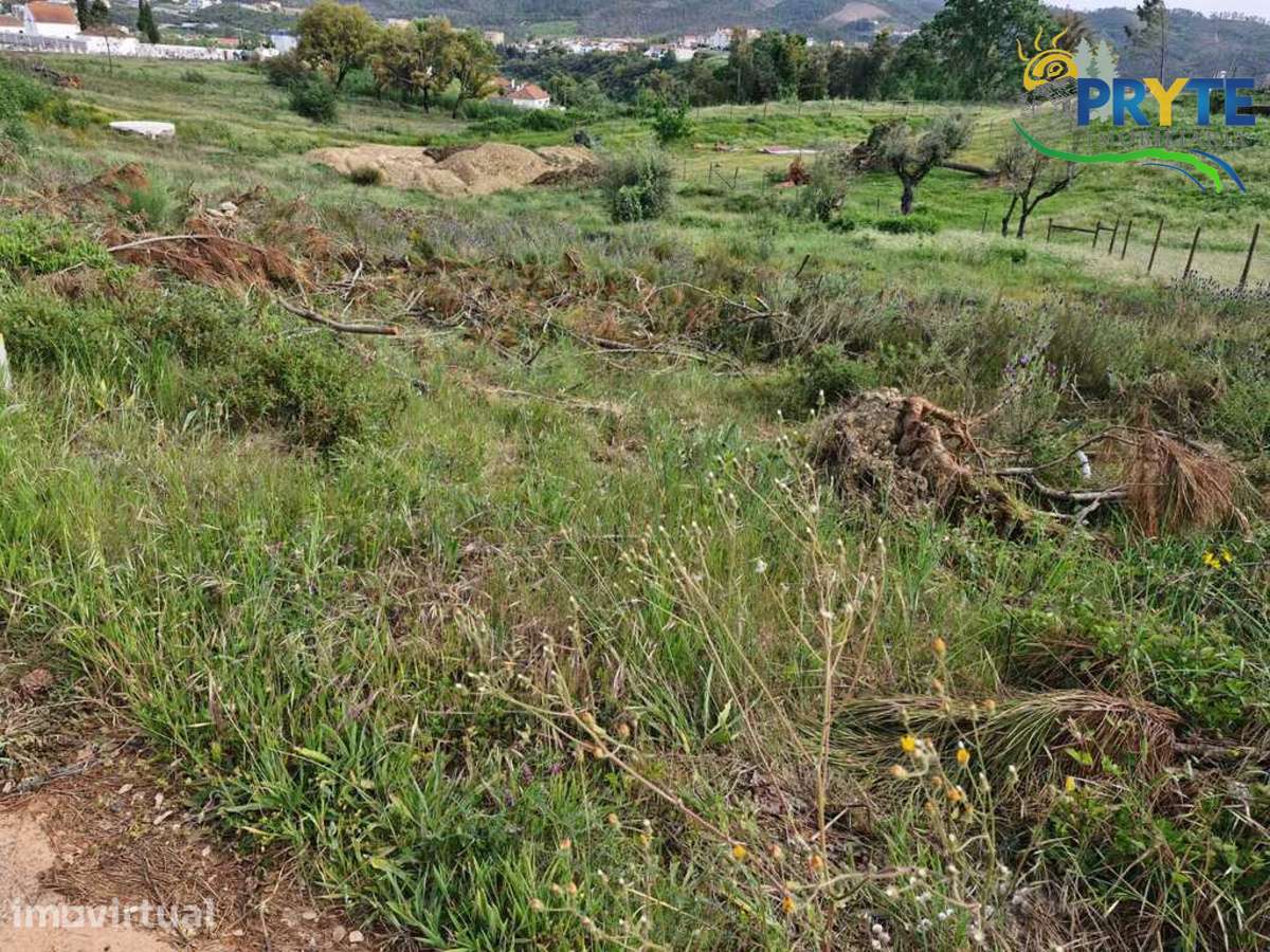 Terreno Para Construção situado na Vila da Sertã - Grande imagem: 4/11