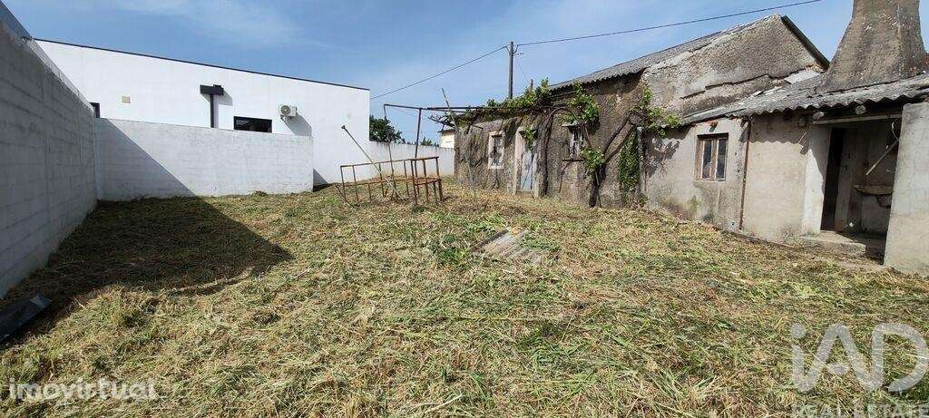 Casa / Villa T2 em Avelar de 72 m2 - Grande imagem: 5/40