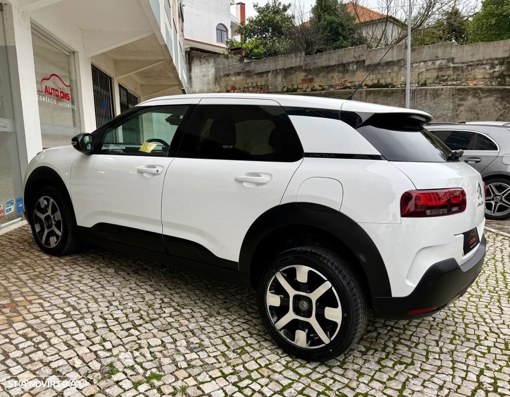 Citroën C4 Cactus 1.6 BlueHDi Shine - 6