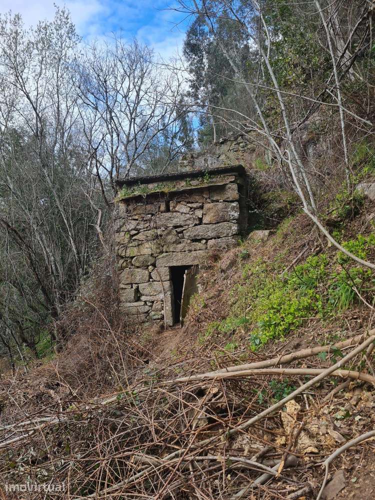 Quinta das Fontainhas, Rio de Moinhos, Penafiel - Grande imagem: 3/43