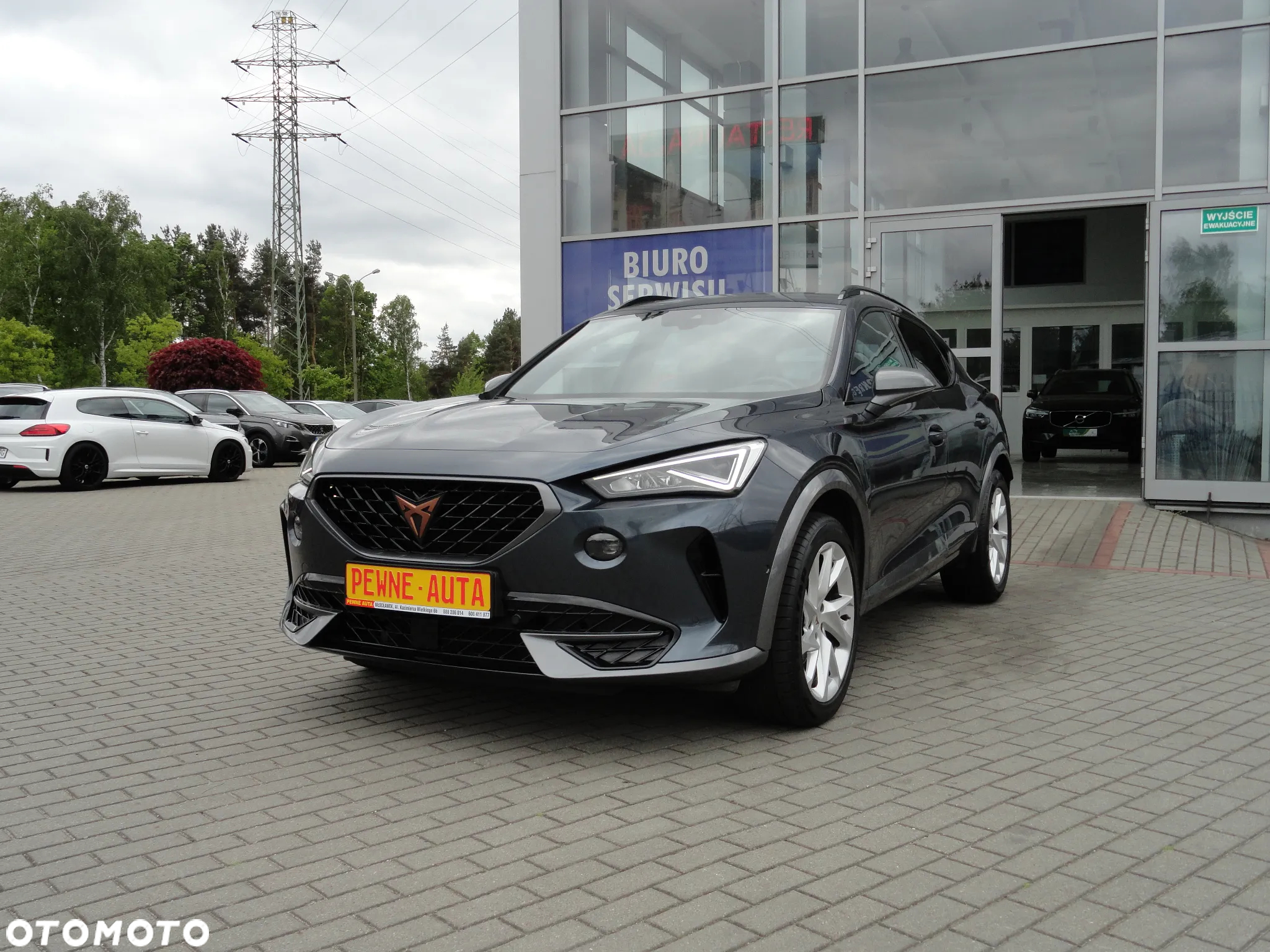 Cupra Formentor 1.5 TSI DSG Tribe Edition - 32