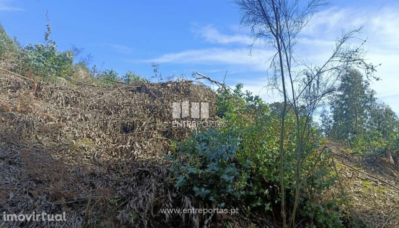 Venda Terreno  Vila Cova Penafiel - Grande imagem: 3/4