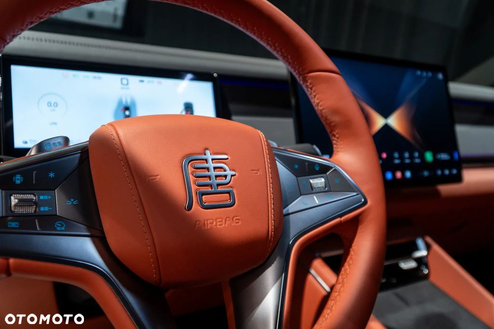 BYD Tang L - 15