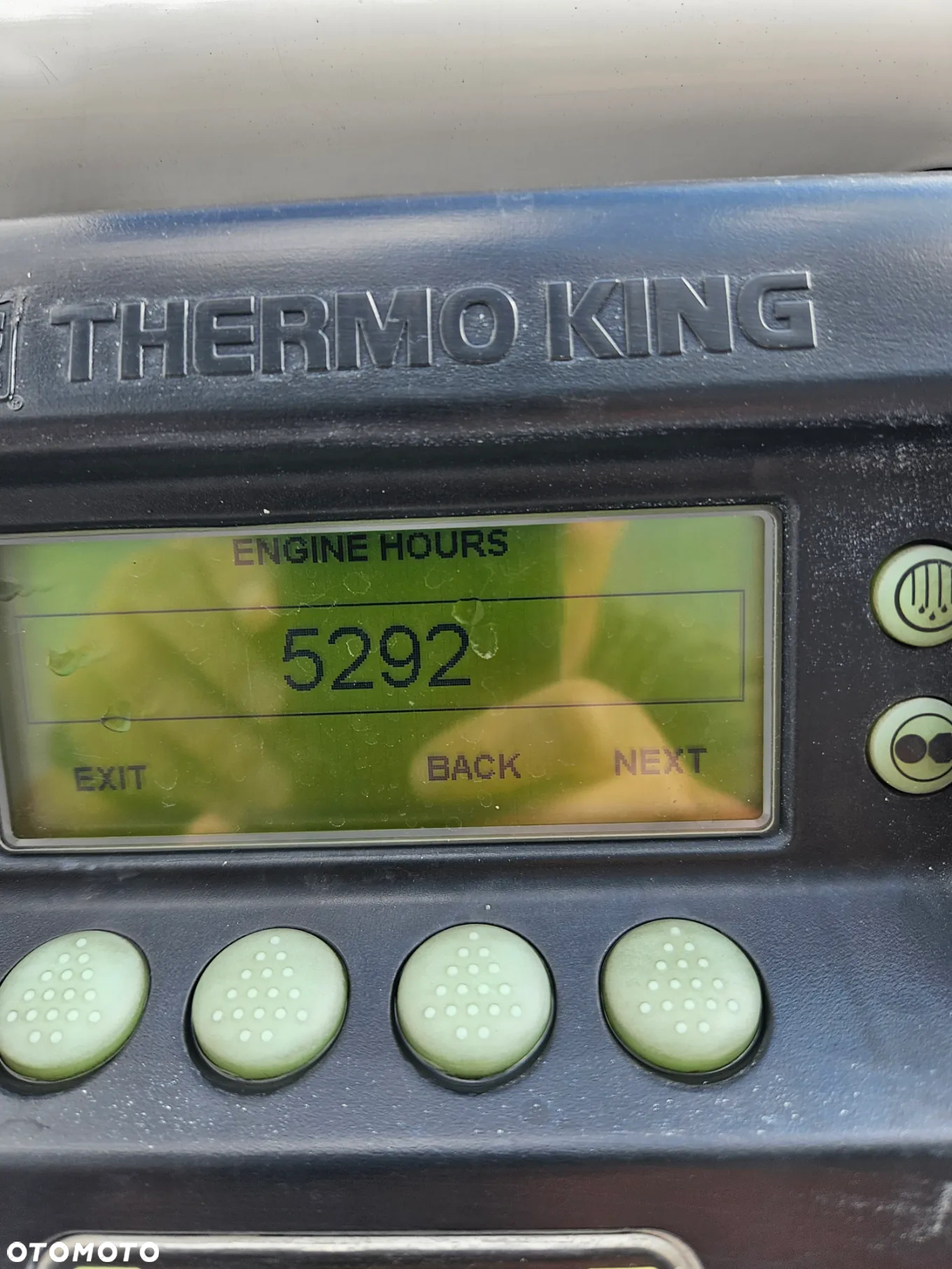 Schmidt argobull Thermo King - 14