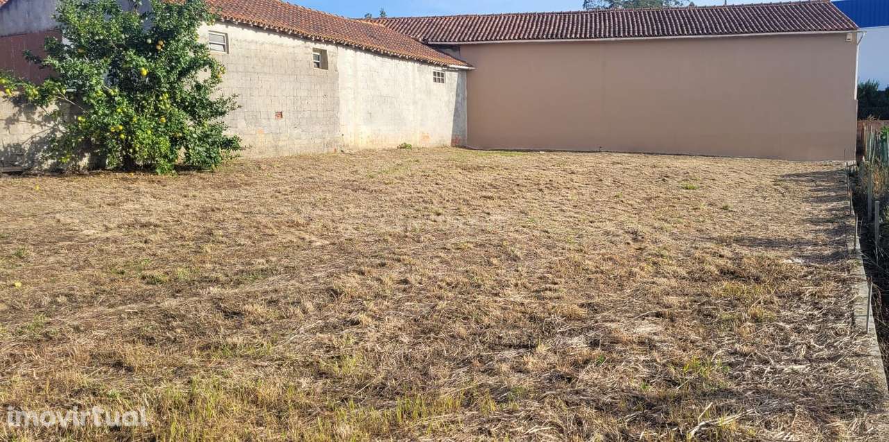 Terreno, 560 m², Juncal - Grande imagem: 2/6