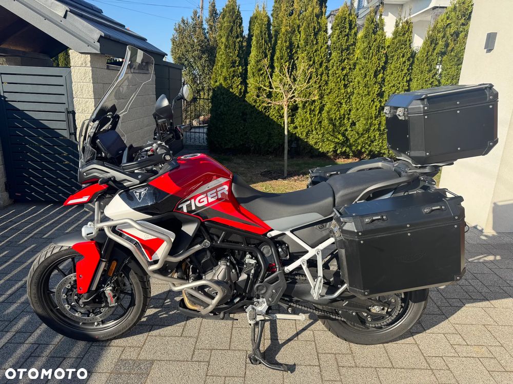 Triumph Tiger - 1