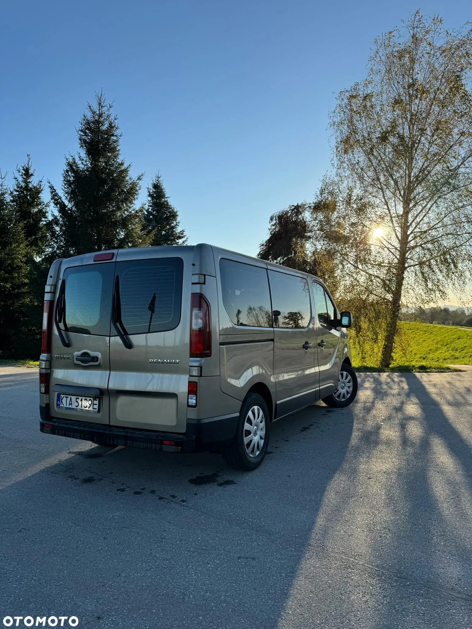 Renault Trafic - 5