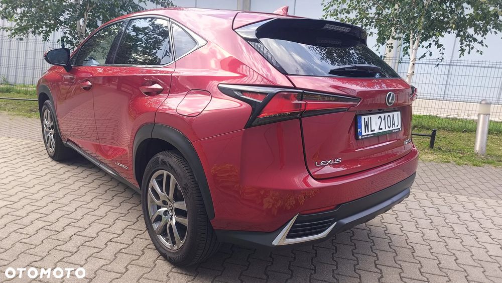 Lexus NX - 12