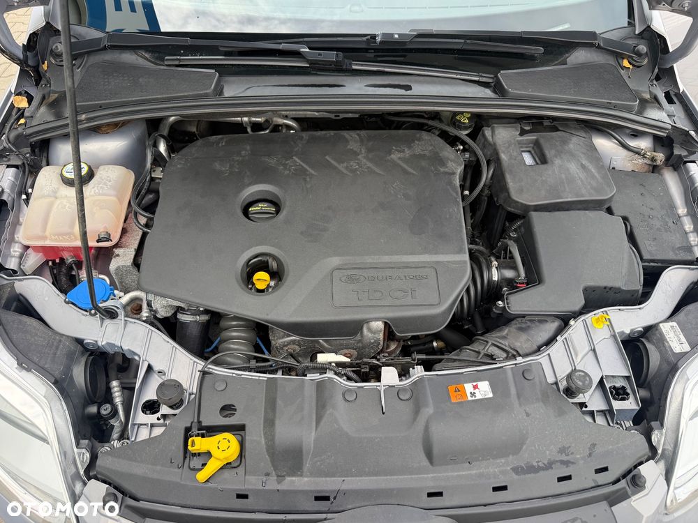 Ford Focus 1.6 TDCi DPF Champions Edition - 19