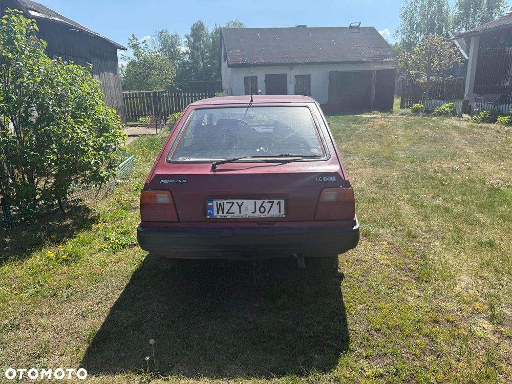 Polonez Caro - 5