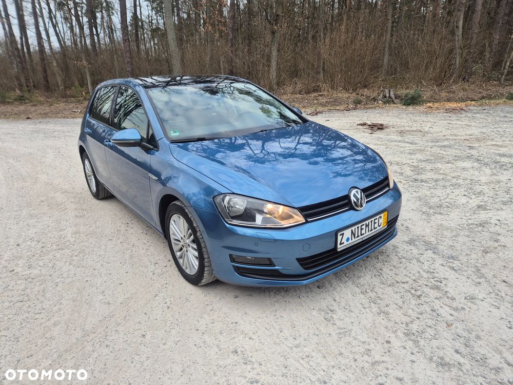 Volkswagen Golf - 19