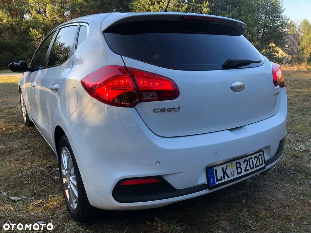 Kia Ceed 1.6 CRDi 128 Dream Team Edition - 13