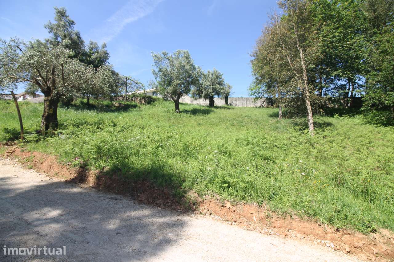 Terreno em Cervães para Investimento - Grande imagem: 3/35