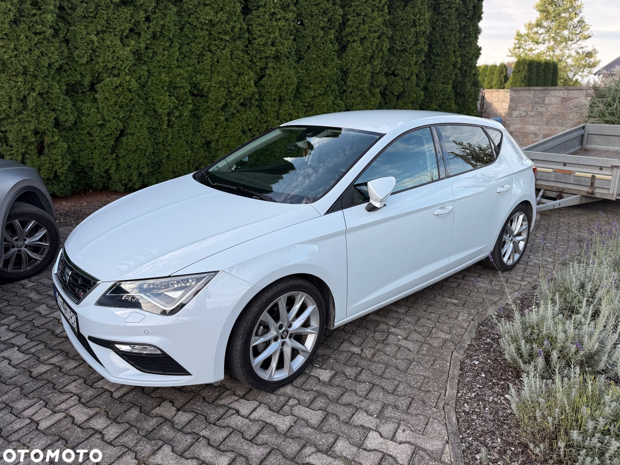 Seat Leon 1.5 EcoTSI Evo FR S&S DSG - 1